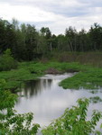 A beaver dam in Grand Bay, NB