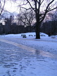 Queen's Park in February
